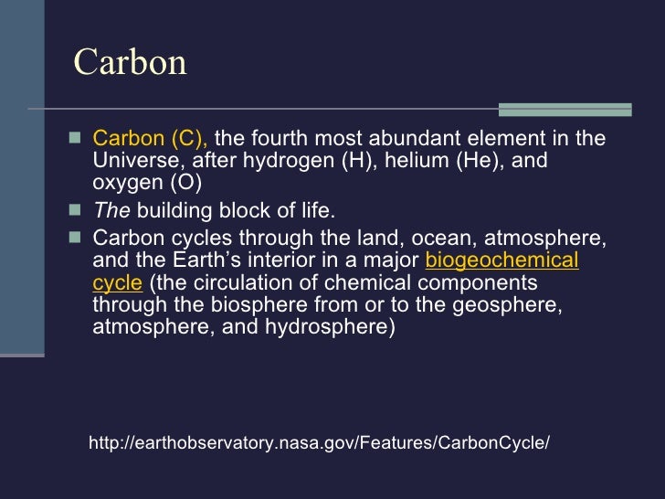 Global Carbon Cycle
