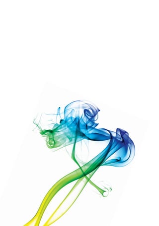 Central Europe TOP 500 2011   21
 