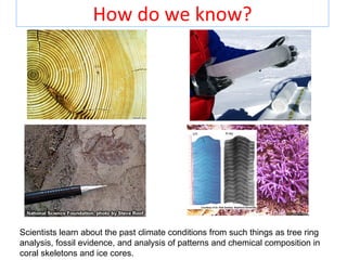 How do we know?




Scientists learn about the past climate conditions from such things as tree ring
analysis, fossil evidence, and analysis of patterns and chemical composition in
coral skeletons and ice cores.
 