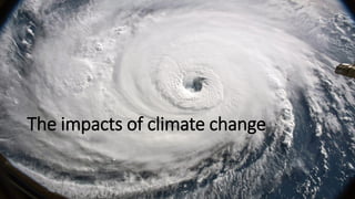 The impacts of climate change
 