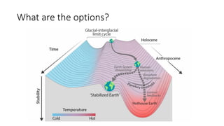 What are the options?
 