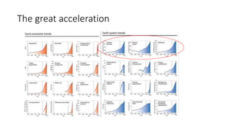 The great acceleration
 