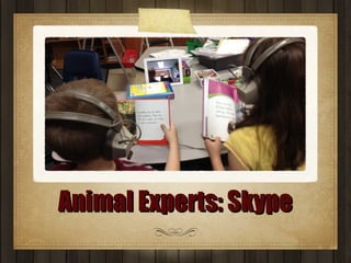 Animal Experts: Skype

 