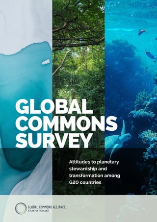 GLOBAL
COMMONS
SURVEY
Attitudes to planetary
stewardship and
transformation among
G20 countries
 