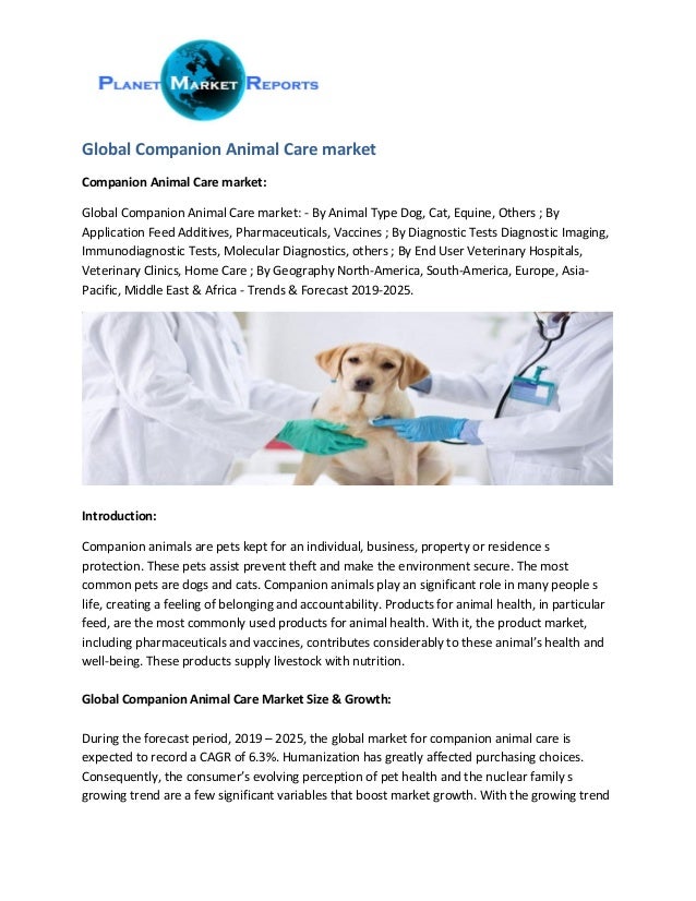 Home Care Vet Clinic