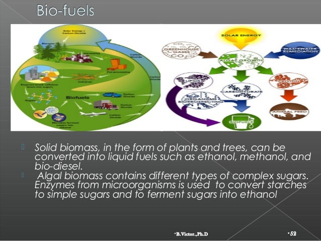Global depletion and conservation of natural resources Global depletion and conservation of natural resources