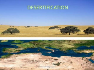 Global diversity patterns and loss of biodiversity | PPTX
