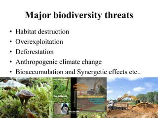 Global diversity patterns and loss of biodiversity | PPTX