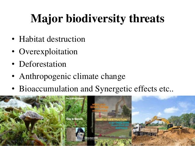 What are some threats to biodiversity?
