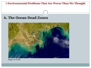 7 Environmental Problems That Are Worse Than We Thought




6. The Ocean Dead Zones




  Image via NASA
 