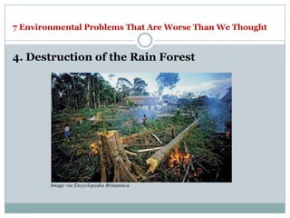 7 Environmental Problems That Are Worse Than We Thought


4. Destruction of the Rain Forest




        Image via Encyclopedia Britannica
 