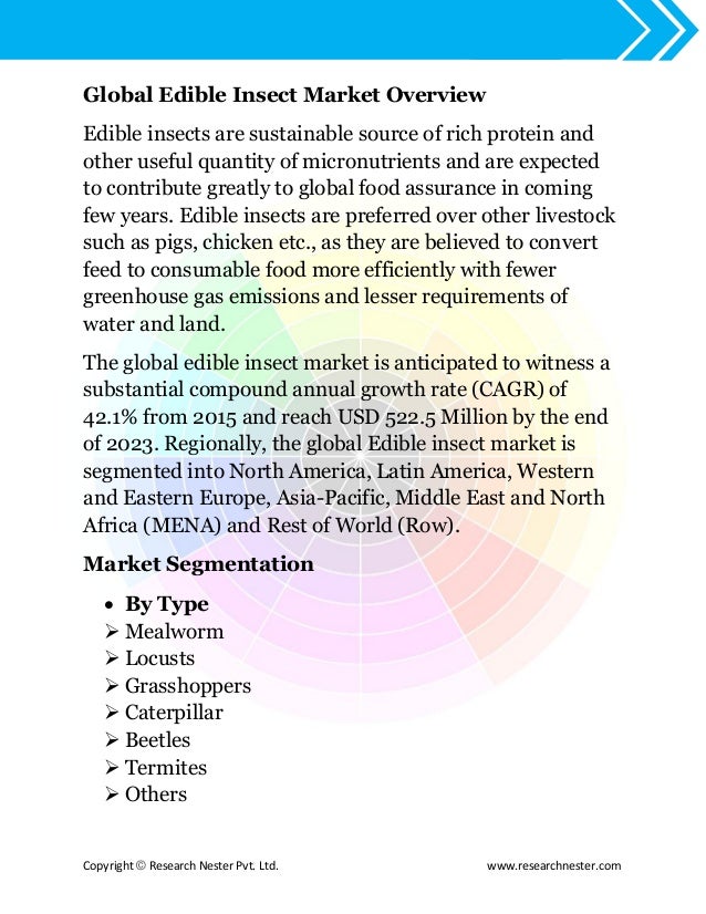 Insect meat analysis essay 08 image