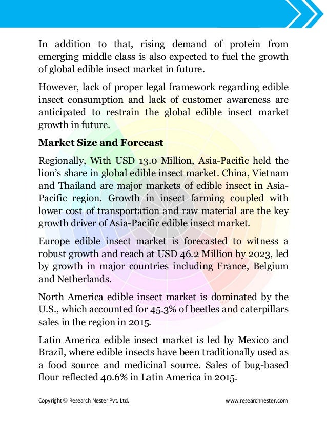 Insect meat analysis essay 07 image