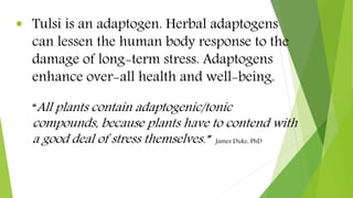  Tulsi is an adaptogen. Herbal adaptogens
can lessen the human body response to the
damage of long-term stress. Adaptogen...
