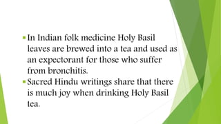 In Indian folk medicine Holy Basil
leaves are brewed into a tea and used as
an expectorant for those who suffer
from bron...