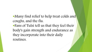 Many find relief to help treat colds and
coughs, and the flu.
Fans of Tulsi tell us that they feel their
body's gain str...