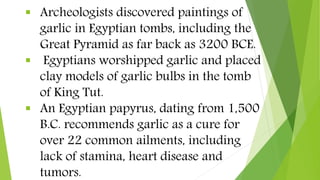  Archeologists discovered paintings of
garlic in Egyptian tombs, including the
Great Pyramid as far back as 3200 BCE.
 E...