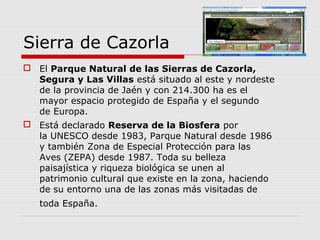 Sierra de Cazorla
 El Parque Natural de las Sierras de Cazorla,
  Segura y Las Villas está situado al este y nordeste
  de la provincia de Jaén y con 214.300 ha es el
  mayor espacio protegido de España y el segundo
  de Europa.
 Está declarado Reserva de la Biosfera por
  la UNESCO desde 1983, Parque Natural desde 1986
  y también Zona de Especial Protección para las
  Aves (ZEPA) desde 1987. Toda su belleza
  paisajística y riqueza biológica se unen al
  patrimonio cultural que existe en la zona, haciendo
  de su entorno una de las zonas más visitadas de
   toda España.
 