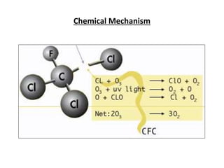 Chemical Mechanism
 