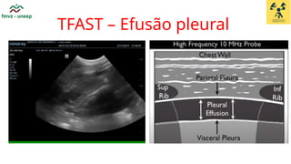 Tfast Advanced Veterinary Anesthesiology and FAST Ultrasound Techniques in ...
