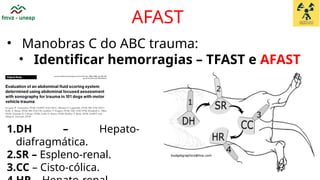 Tfast Advanced Veterinary Anesthesiology and FAST Ultrasound Techniques in ...