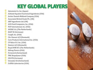 Ajinomoto Co. Inc. (Japan)
Ashland Aqualon Functional Ingredients (USA)
Archer Daniels Midland Company (USA)
Associated British Foods Plc. (UK)
ABF Ingredients Ltd. (UK)
ACH Food Companies, Inc. (USA)
PGP International, Inc. (USA)
AVEBE U.A. (The Netherlands)
BASF SE (Germany)
Cargill, Inc. (USA)
Chr. Hansen A/S (Denmark)
Corn Products International Inc. (USA)
CP Kelco U.S. Inc. (USA)
Danisco A/S (Denmark)
Royal DSM N.V. (The Netherlands)
Edlong Flavors (USA)
Firmenich (Switzerland)
FMC Biopolymer (USA)
GELITA (Germany)
Givaudan SA (Switzerland)
Griffith Laboratories (USA)
 