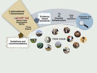 Global food safety presentation final