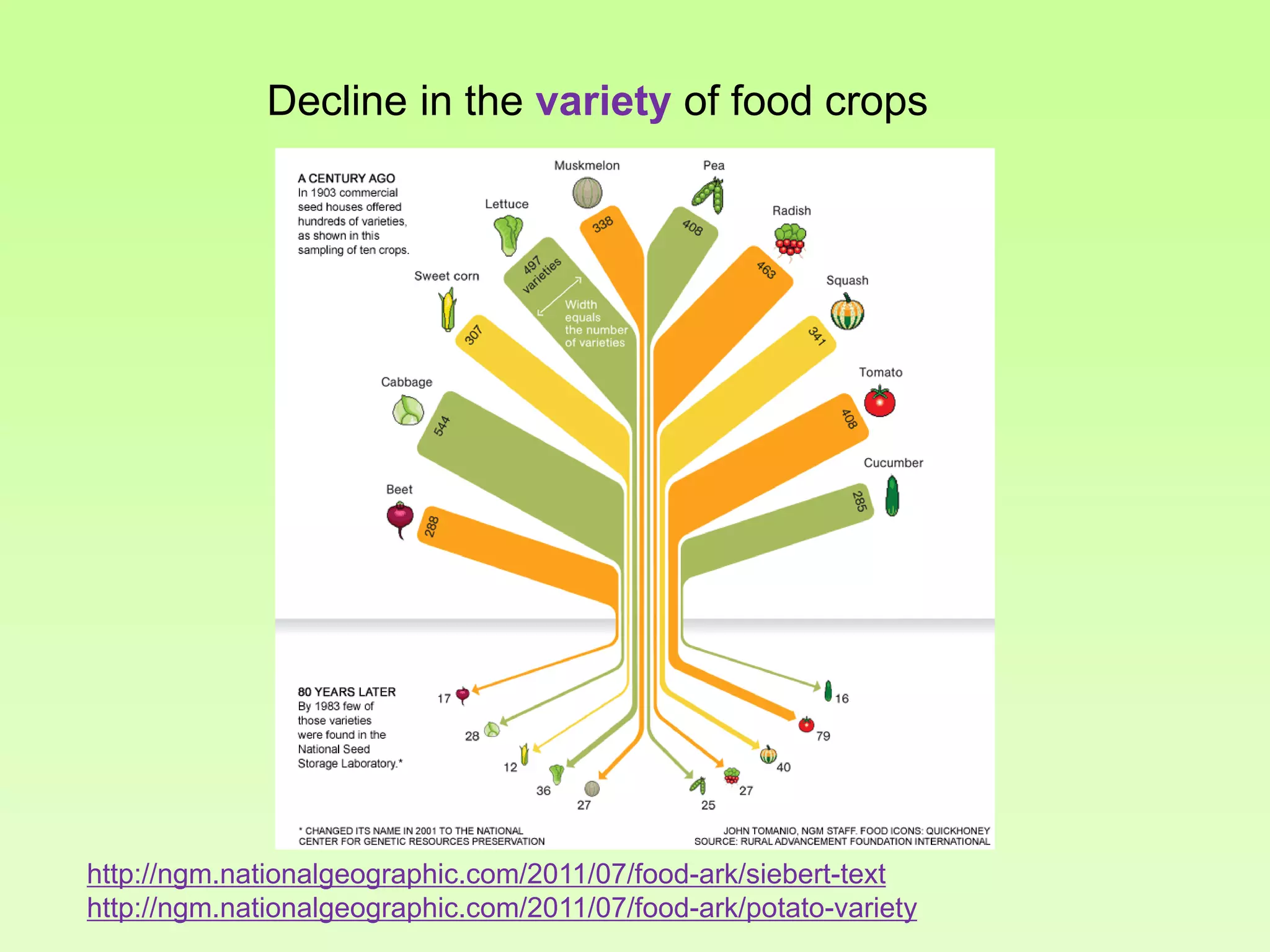 Decline in the variety of food crops

http://ngm.nationalgeographic.com/2011/07/food-ark/siebert-text
http://ngm.nationalgeographic.com/2011/07/food-ark/potato-variety

 