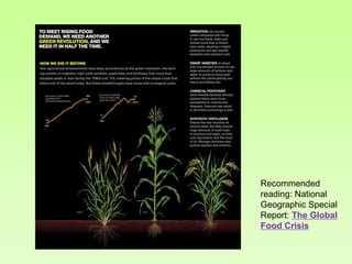 Recommended
reading: National
Geographic Special
Report: The Global
Food Crisis

 