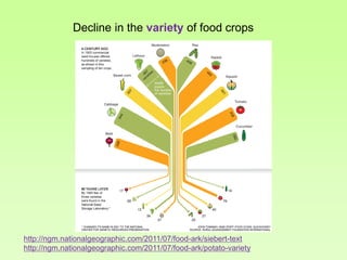 Decline in the variety of food crops

http://ngm.nationalgeographic.com/2011/07/food-ark/siebert-text
http://ngm.nationalgeographic.com/2011/07/food-ark/potato-variety

 
