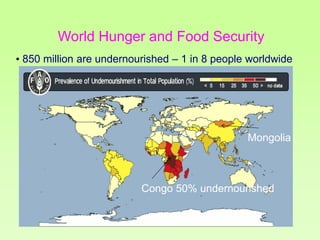 World Hunger and Food Security
• 850 million are undernourished – 1 in 8 people worldwide

Mongolia

Congo 50% undernourished

 