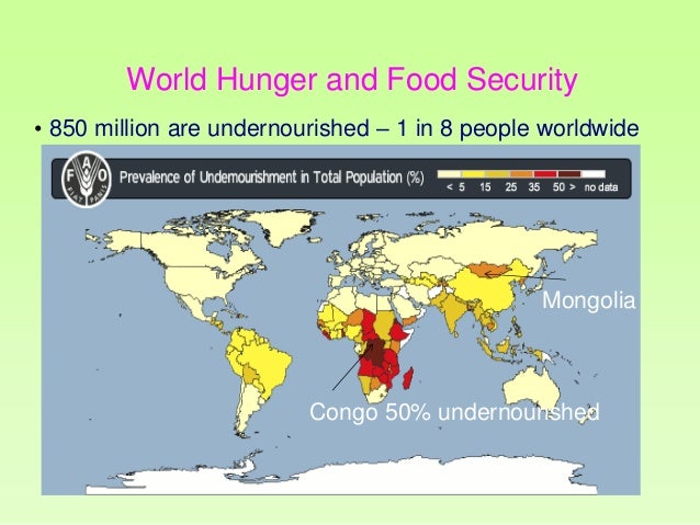 World Hunger And Food Security World Hunger And Food Security