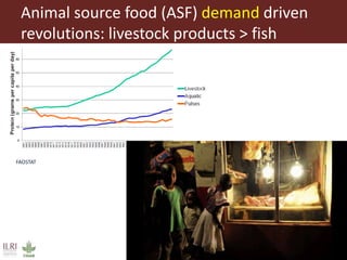 Global food systems and zoonoses