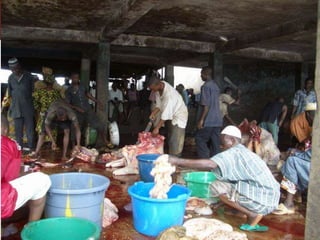 Global food systems and zoonoses