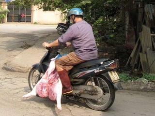 Global food systems and zoonoses