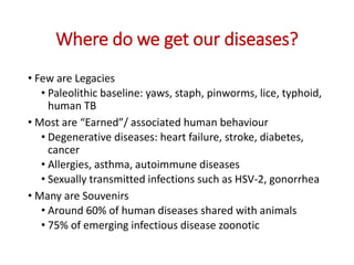 Global food systems and zoonoses