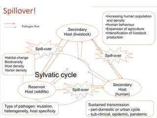 Global food systems and zoonoses