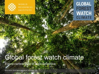 Global Forest Coalition WEBINAR Starving Africa to Feed the World