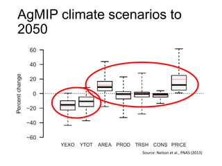 Global Futures and Strategic Foresight