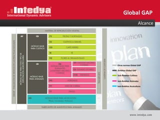 Alcance
Global GAP
Otras normas Global GAP
Ámbitos Global GAP
Sub-Ámbitos Cultivos
Sub-Ámbitos Animales
Sub-Ámbitos Acuicultura
 