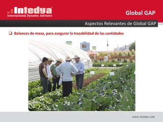 Aspectos Relevantes de Global GAP
Global GAP
 Balances de masa, para asegurar la trazabilidad de las cantidades
 