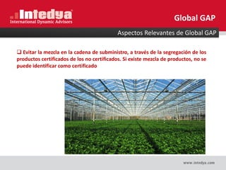  Evitar la mezcla en la cadena de subministro, a través de la segregación de los
productos certificados de los no certificados. Si existe mezcla de productos, no se
puede identificar como certificado
Aspectos Relevantes de Global GAP
Global GAP
 