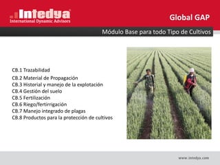 Módulo Base para todo Tipo de Cultivos
Global GAP
CB.1 Trazabilidad
CB.2 Material de Propagación
CB.3 Historial y manejo de la explotación
CB.4 Gestión del suelo
CB.5 Fertilización
CB.6 Riego/fertirrigación
CB.7 Manejo integrado de plagas
CB.8 Productos para la protección de cultivos
 
