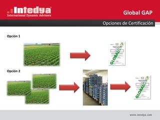 Opciones de Certificación
Opción 1
Global GAP
Opción 2
 