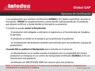 • Los productores que solicitan certificación GLOBALG.A.P. deben especificar, durante la
inscripción, TODOS los emplazamientos y zonas donde cultivan/producen el producto
que desean certificar, o desde donde se transporta su producto.
• Cuando se puede excluir la Recolección:
-El productor está obligado a solicitarlo al registrarse y el Secretariado de Foodplus
lo aprueba.
-El producto se vende en el campo y ya no pertenece al productor.
-La manipulación del producto también será excluida para ese productor o grupo de
productores.
•Cuando NO se auditará el Manipulado (pero incluido en el alcance).
-La Manipulación no se audita cuando el producto aún en propiedad del mismo
productor se manipula en un centro de manipulado certificado (GLOBALG.A.P) con
alcance para ese producto.
-Certificado con BRC/IFS/SQF 2000 con alcance para ese producto.
NOTA: Un producto sólo podrá incluirse en el alcance si las actividades de recolección y manipulado están
realizándose en el momento de la auditoría.
Opciones de Certificación
Global GAP
 