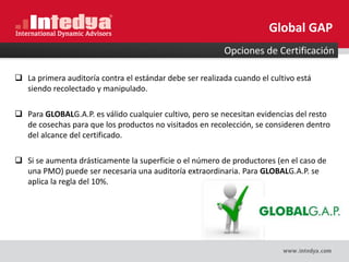  La primera auditoría contra el estándar debe ser realizada cuando el cultivo está
siendo recolectado y manipulado.
 Para GLOBALG.A.P. es válido cualquier cultivo, pero se necesitan evidencias del resto
de cosechas para que los productos no visitados en recolección, se consideren dentro
del alcance del certificado.
 Si se aumenta drásticamente la superficie o el número de productores (en el caso de
una PMO) puede ser necesaria una auditoría extraordinaria. Para GLOBALG.A.P. se
aplica la regla del 10%.
Opciones de Certificación
Global GAP
 