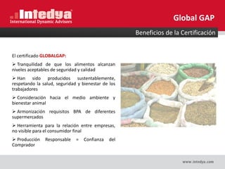 El certificado GLOBALGAP:
 Tranquilidad de que los alimentos alcanzan
niveles aceptables de seguridad y calidad
 Han sido producidos sustentablemente,
respetando la salud, seguridad y bienestar de los
trabajadores
 Consideración hacia el medio ambiente y
bienestar animal
 Armonización requisitos BPA de diferentes
supermercados
 Herramienta para la relación entre empresas,
no visible para el consumidor final
 Producción Responsable = Confianza del
Comprador
Beneficios de la Certificación
Global GAP
 