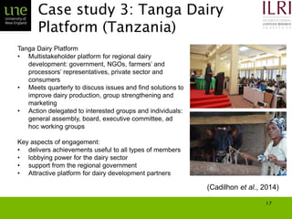 Smallholder agriculture and market engagement