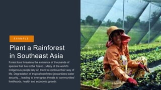 Plant a Rainforest
in Southeast Asia
Forest loss threatens the existence of thousands of
species that live in the forest... Many of the world's
indigenous people rely on them to continue their way of
life. Degradation of tropical rainforest jeopardizes water
security… leading to even great threats to communities'
livelihoods, health and economic growth.
E X A M P L E
 