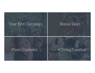 Year End Campaign
 Bonus Days
Photo Contests
 #GivingTuesday
 